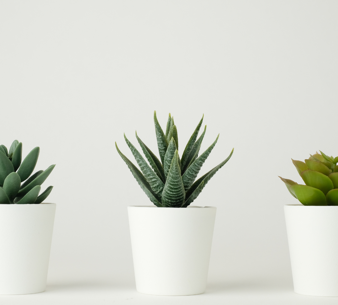 Untitled design (11)